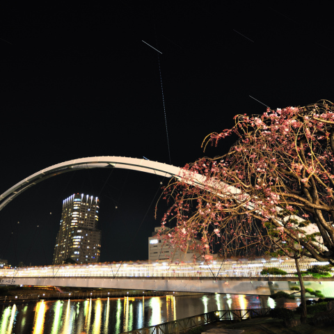ISSと枝垂れ桜と橋と