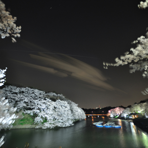 ISSと桜 at 千鳥ヶ淵