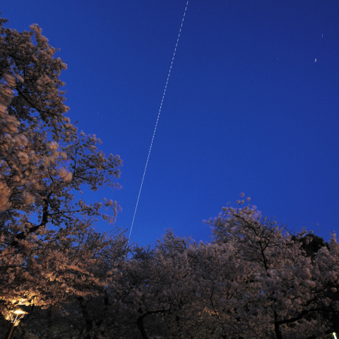 ISSと桜