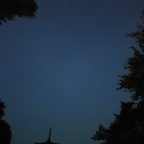 だいちと五重塔