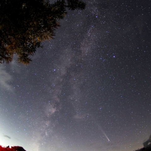 紫金山・アトラス彗星