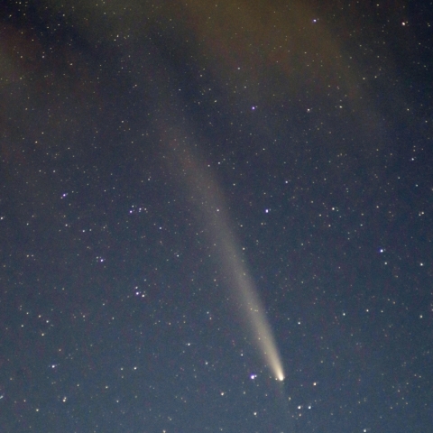 紫金山・アトラス彗星
