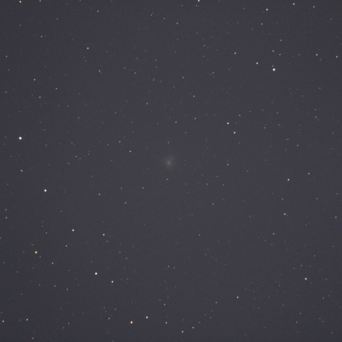 ポンス-ブルックス彗星