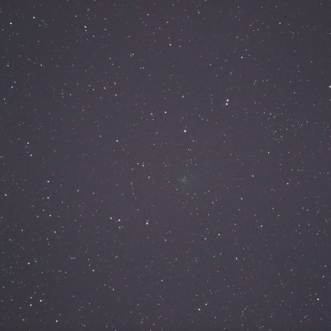 ポンス-ブルックス彗星