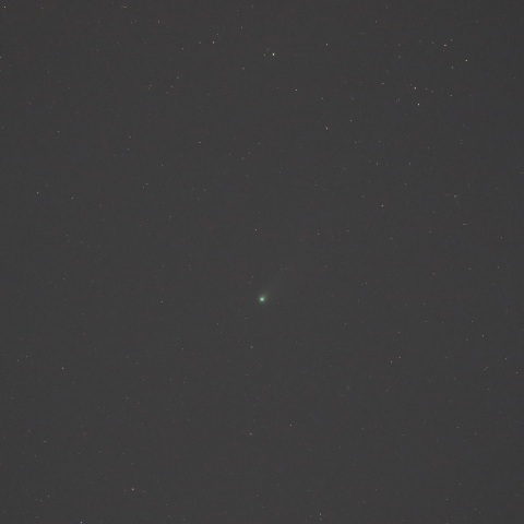 ポンス-ブルックス彗星