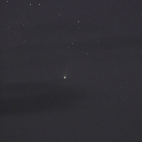 ポンス-ブルックス彗星