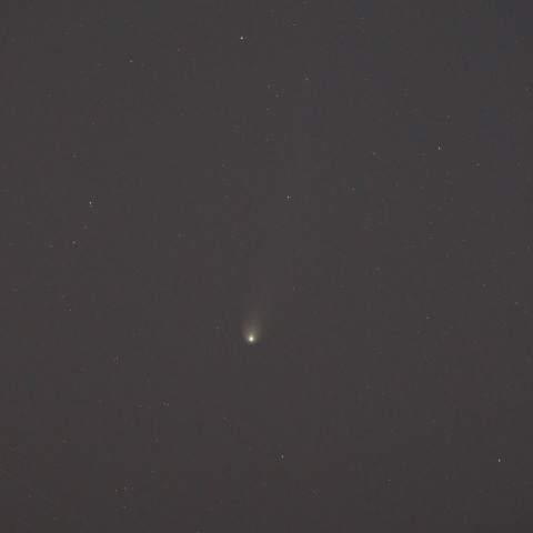 ポンス-ブルックス彗星