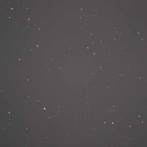 紫金山-アトラス彗星