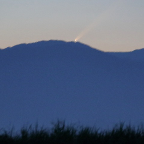 紫金山-アトラス彗星