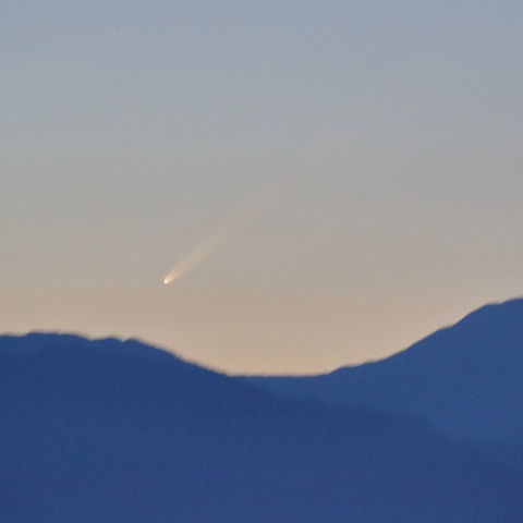 紫金山-アトラス彗星