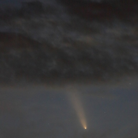 10/14の紫金山-アトラス彗星