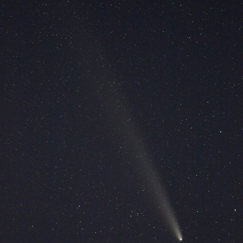 10/21の紫金山-アトラス彗星