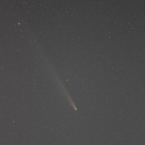 10/25の紫金山-アトラス彗星