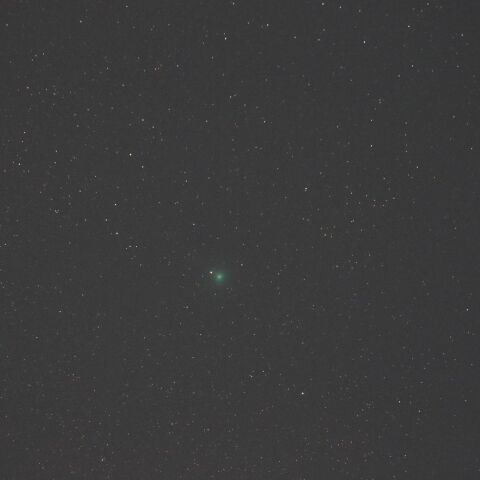 10/15 スワン彗星