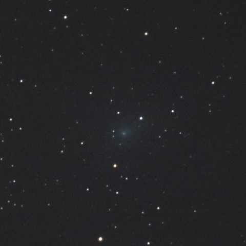 エイサスエスエヌ彗星(C/2017 O1)