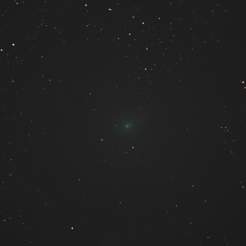 エイサスエスエヌ彗星(C/2017 O1)