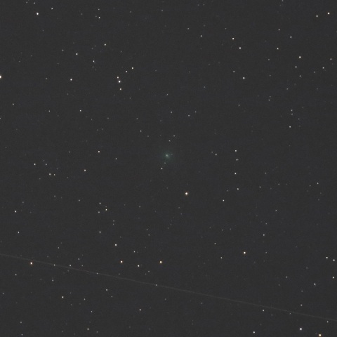アトラス彗星　C/2019 Y4