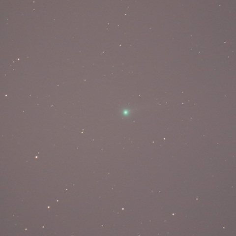 エラスムス彗星　C/2020 S3