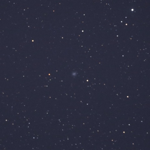 シュヴァスマン-ヴァハマン第1彗星