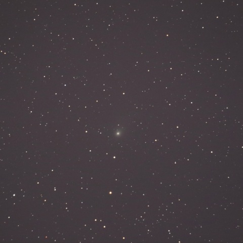 アトラス彗星