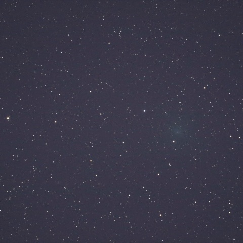 アトラス彗星