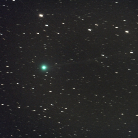 2023年8月25日未明の西村彗星(C/2023 P1)