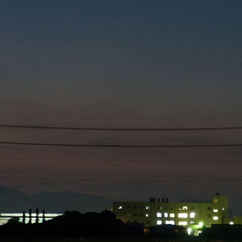 最大高度の日：紫・ア彗星