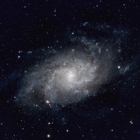 M33