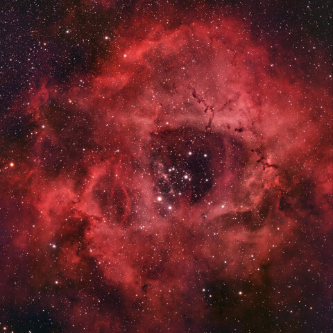 NGC2244