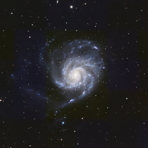 M101