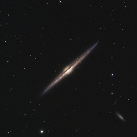 NGC4565