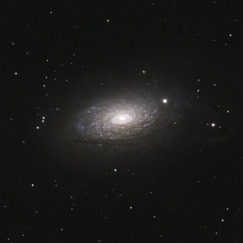 M63