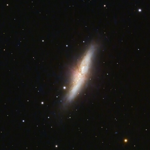 M82