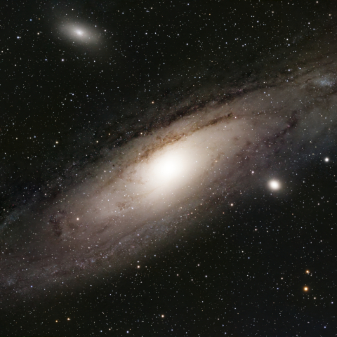 M31