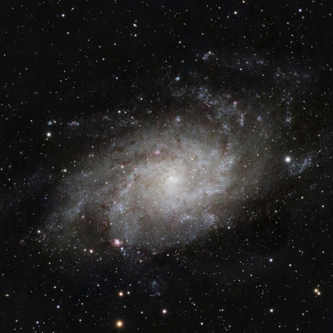 M33
