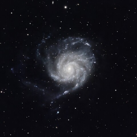 M101