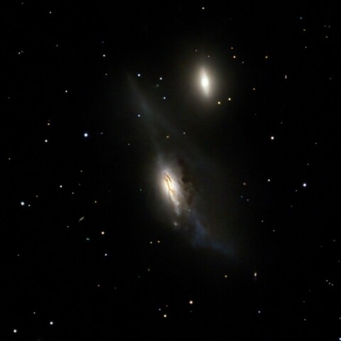 NGC4438
