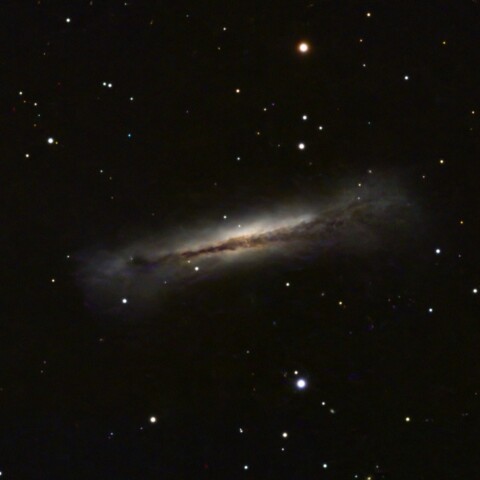 NGC3628