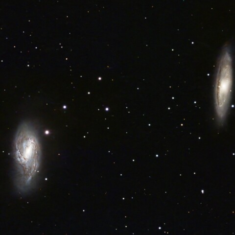 M65 M66