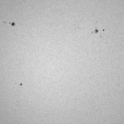 8月18日の白色光で見た太陽の赤道付近の黒点群