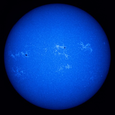 ８月２０日のカルシウムＫ線光で見た太陽画像