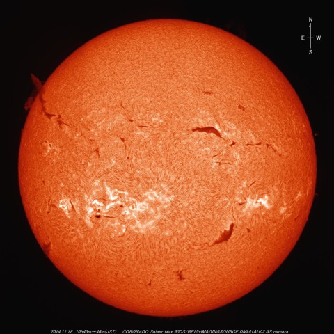 １１月１８日のHα光で見た太陽