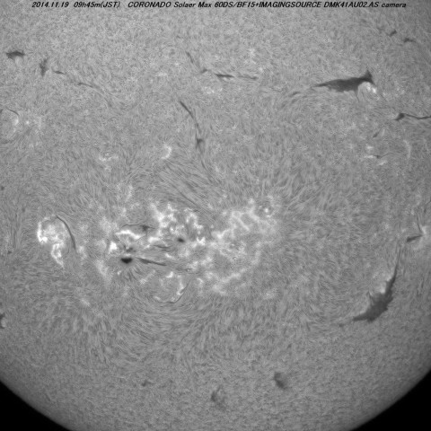 １１月１９日のHα光で見た活動領域