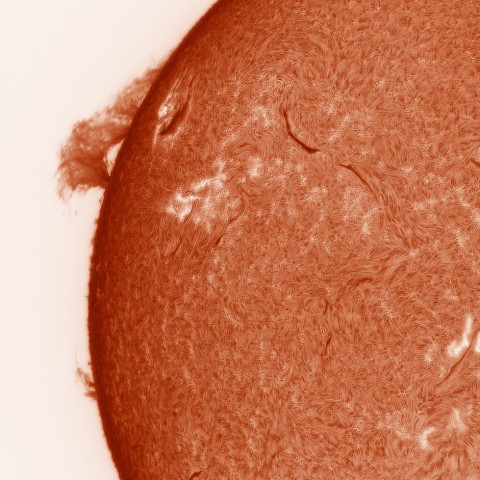 ４月２３日　東北縁の大型プロミネンス