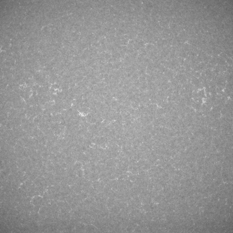 9月1日のカルシウムK線光で見た太陽の活動領域