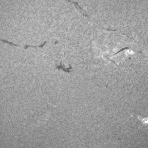 9月4日の太陽(Hα拡大)