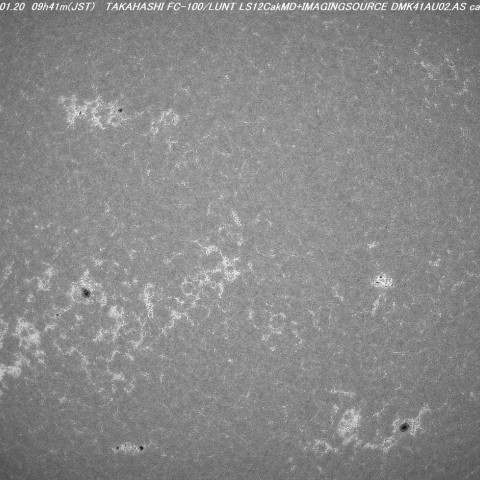 １１月６日のカルシウムＫ線光で見た太陽領域
