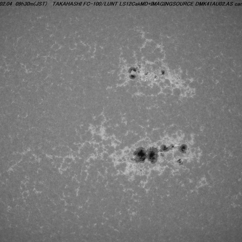 ２月４日のカルシウムＫ線光で見た太陽領域
