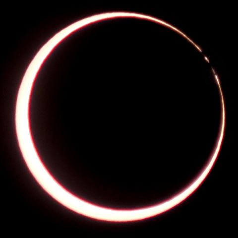 ベイリーズ・ビーズ