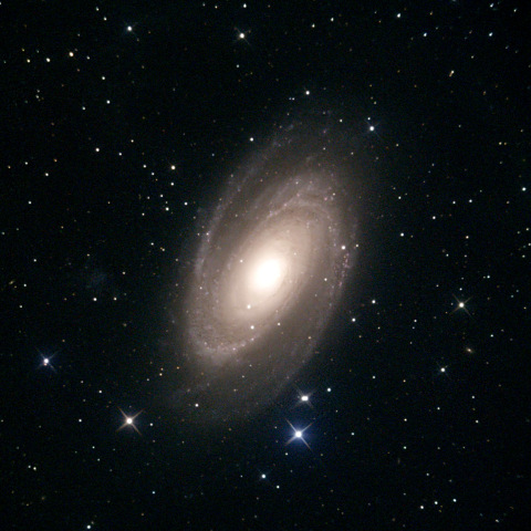 M81
